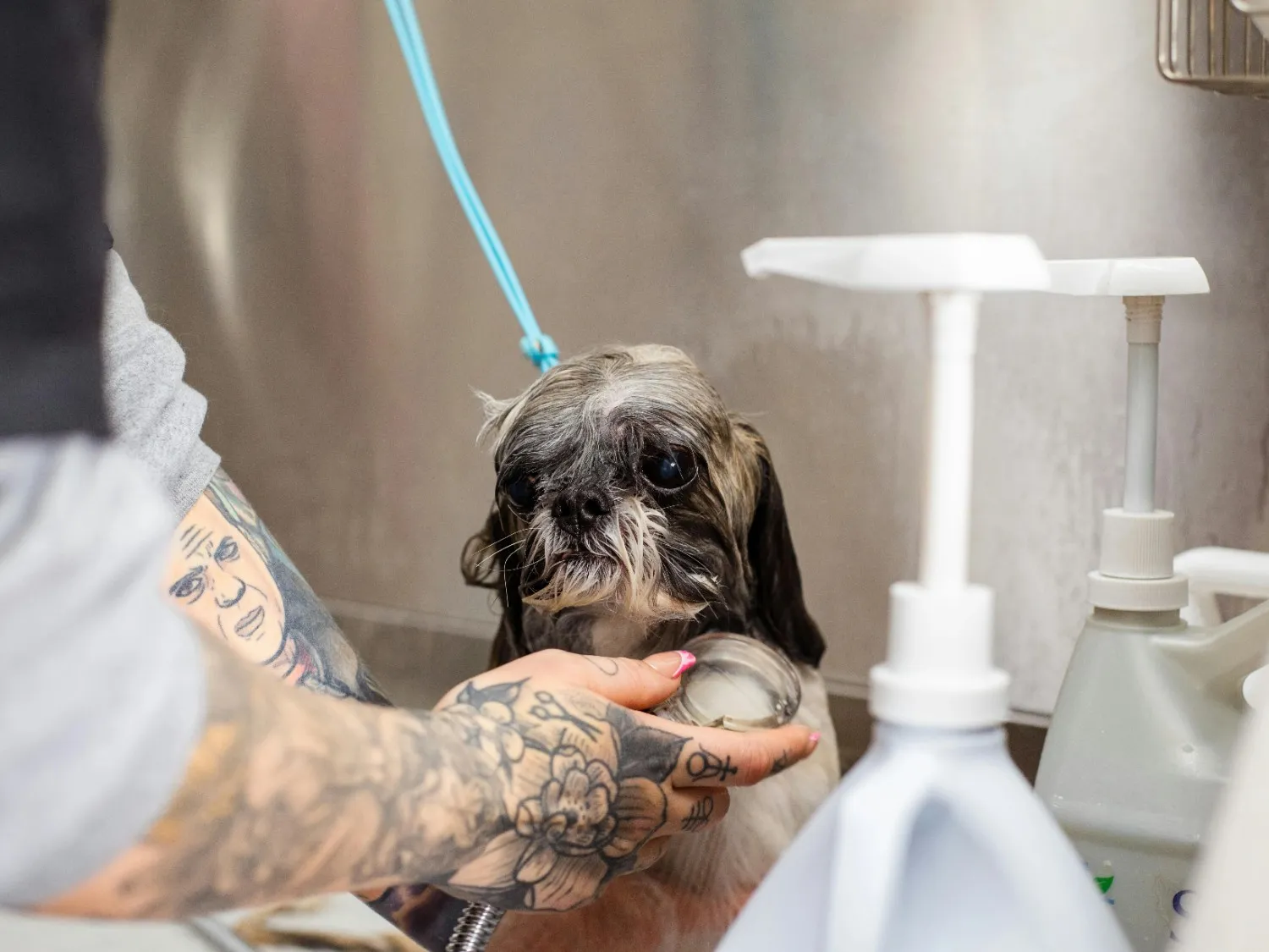 Grey Standard Pet Bath
