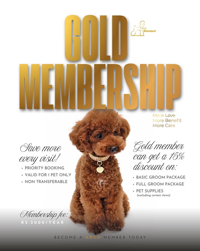 Gold Membership Grey Standard